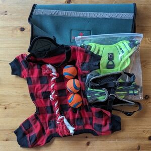 Small Dog Lot - 8 Items - Puppy - Good Used Condition